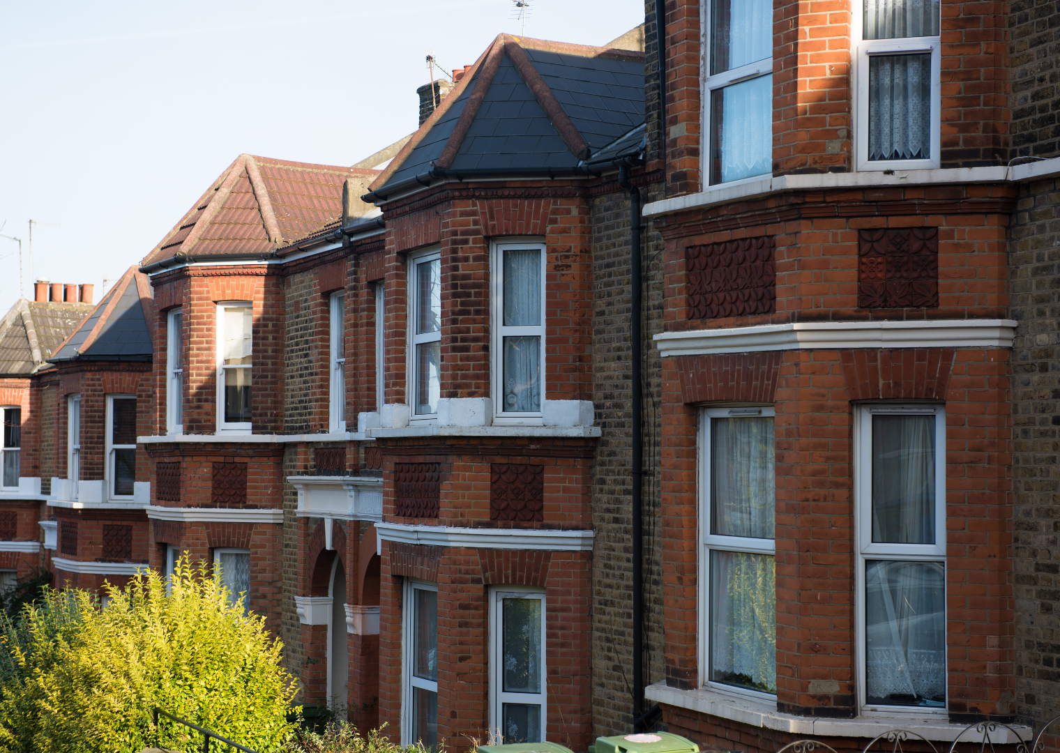 Row of terraced houses, upclose with their windows and trees in the front garden.